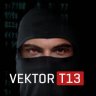 Vektor T13